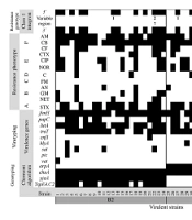 Jundishapur J Microbiol